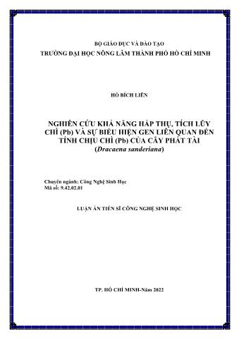 Luận án Nghiên cứu khả năng hấp thụ, tích lũy chì (Pb) và sự biểu hiện gen liên quan đến tính chịu chì (Pb) của cây phát tài (Dracaena sanderiana)