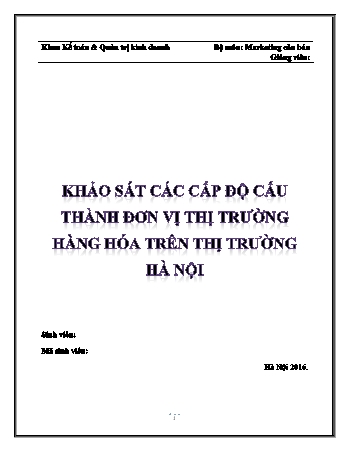 Đề tài Khảo sát các cấp độ cấu thành đơn vị thị trường hàng hóa trên thị trường Hà Nội
